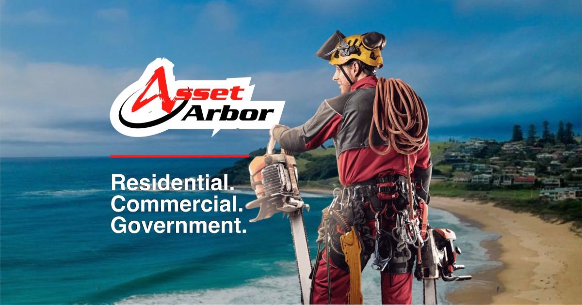 Contact Asset Arbor Tree Services