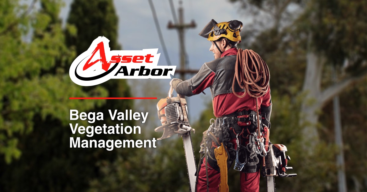 Bega Valley Vegetation Management Asset Arbor Tree Services