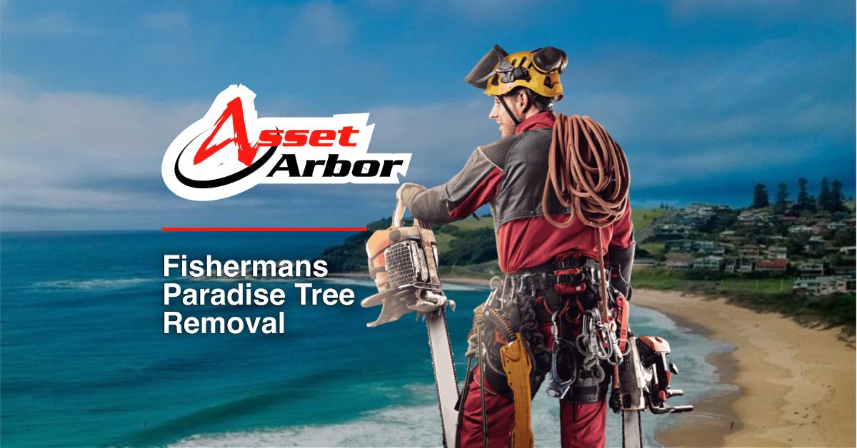 Fishermans Paradise Tree Removal Asset Arbor Tree Services