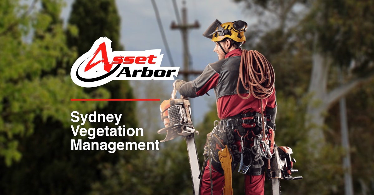 Sydney Vegetation Management Asset Arbor Tree Services